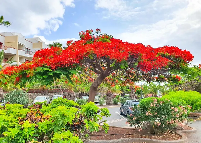 Terraza Sunset In Mar, Pool & Padel Daire Palm-mar